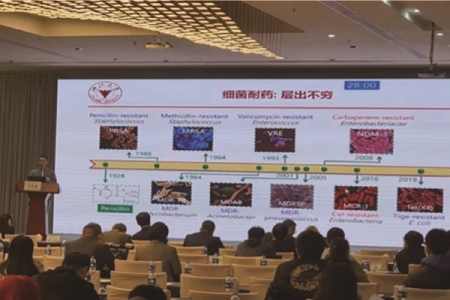 新芝青年学者论坛在嘉兴成功举办