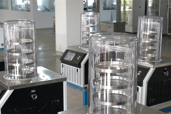 小型实验室用真空冻干机实拍图